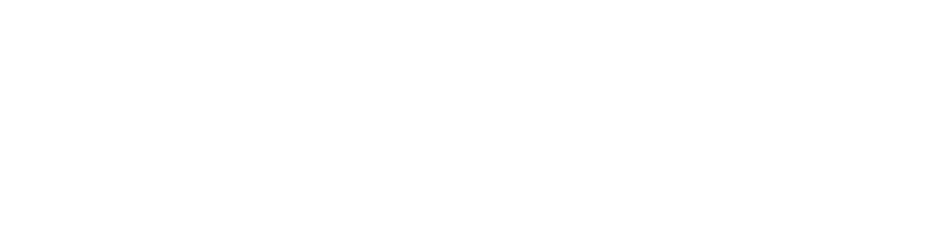 FINFEST